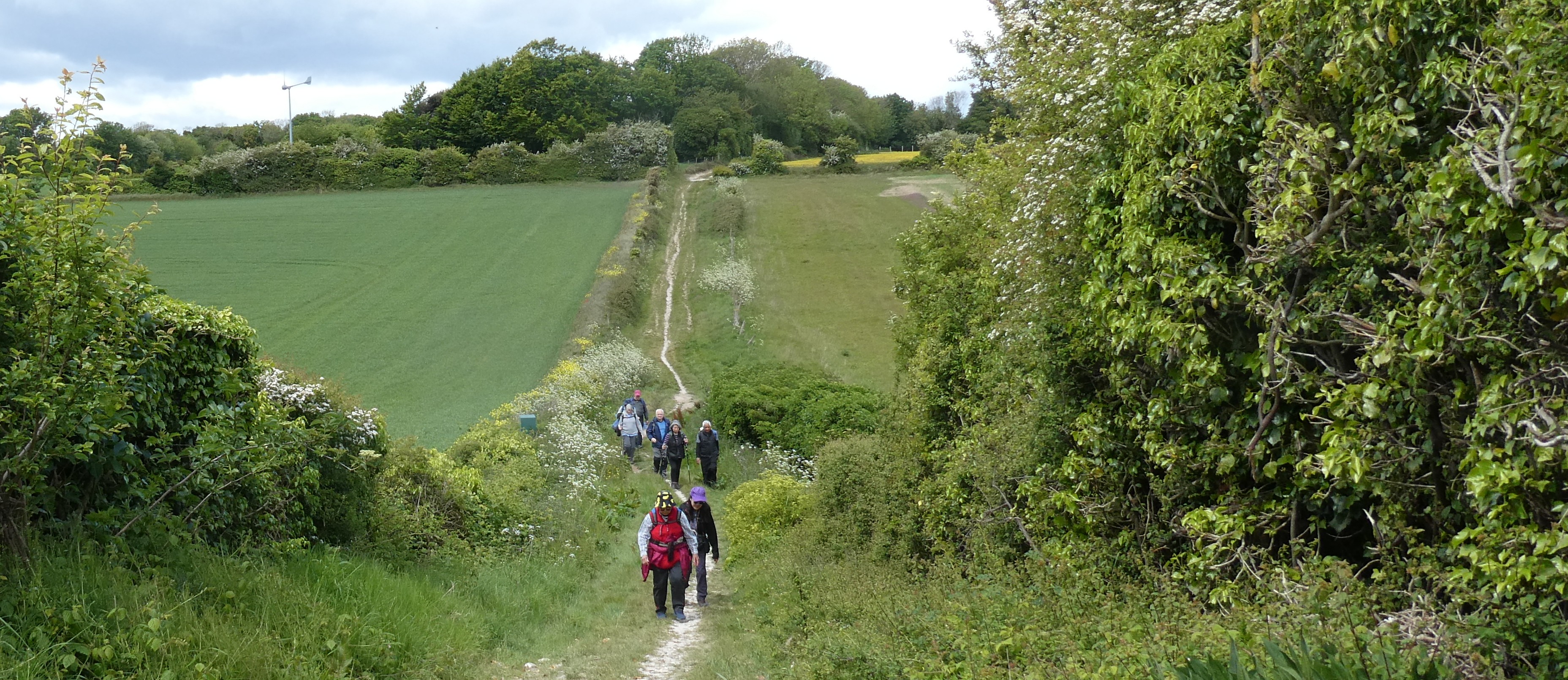 2026 05 16 Walmer Circular on the Canterbury Walking Weekend